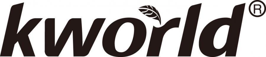 KWORLD PICO TV STICK