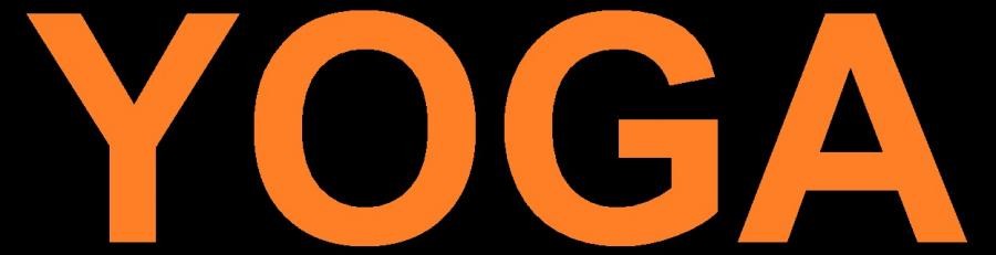 YOGA DYNAMIC HAND-HELD VOCAL MICROPHONE