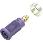 שקע בננה 4MM להברגה לפנל - בידוד סגול - TENMA 72-14170