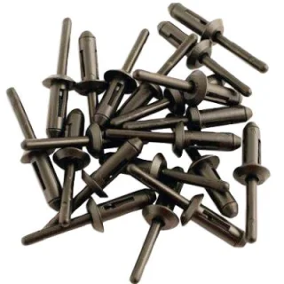 חבילת ניטים מפלסטיק - LASER TOOLS - 6.6MM X 17.2MM LASER TOOLS