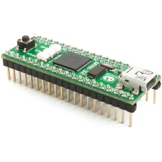 כרטיס פיתוח - MINI-M32 FOR PIC32 MIKROELEKTRONIKA